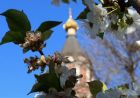 Світлий понеділок. 10 років тому (відео)
